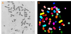 Figure1