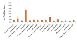 SPW - tissue levels